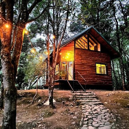 Unicorn Lodge: Direct Riverfront : Unique Experience San Gerardo de Dota Bagian luar foto