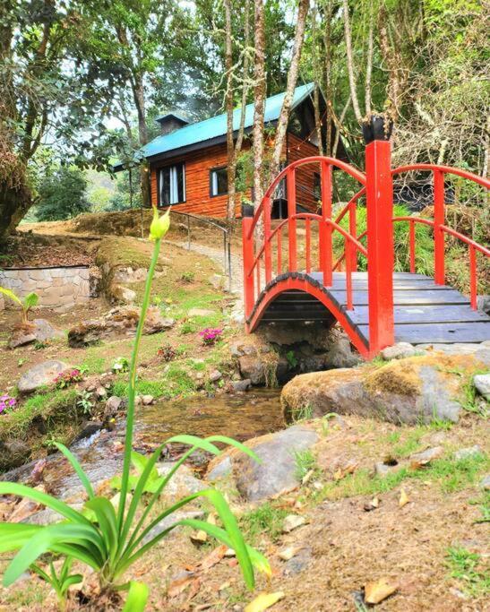 Unicorn Lodge: Direct Riverfront : Unique Experience San Gerardo de Dota Bagian luar foto