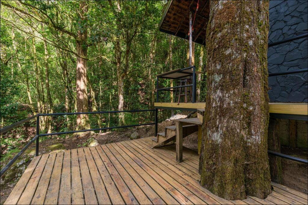 Unicorn Lodge: Direct Riverfront : Unique Experience San Gerardo de Dota Bagian luar foto