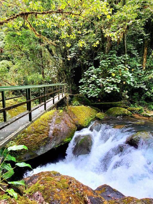 Unicorn Lodge: Direct Riverfront : Unique Experience San Gerardo de Dota Bagian luar foto