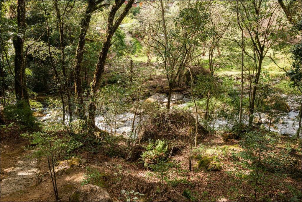Unicorn Lodge: Direct Riverfront : Unique Experience San Gerardo de Dota Bagian luar foto