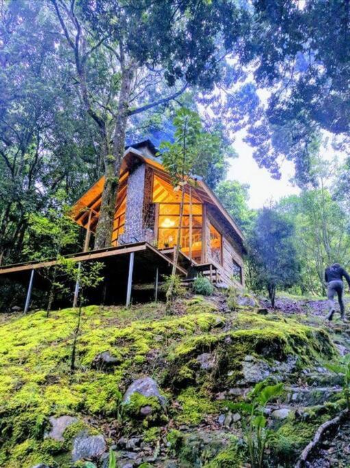 Unicorn Lodge: Direct Riverfront : Unique Experience San Gerardo de Dota Bagian luar foto