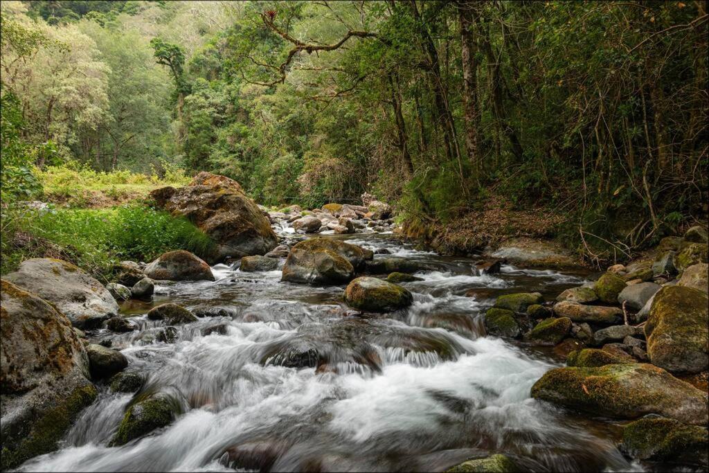 Unicorn Lodge: Direct Riverfront : Unique Experience San Gerardo de Dota Bagian luar foto