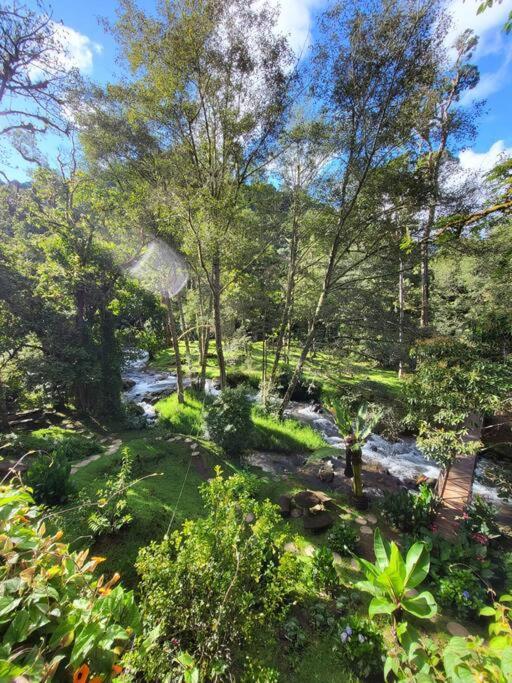 Unicorn Lodge: Direct Riverfront : Unique Experience San Gerardo de Dota Bagian luar foto