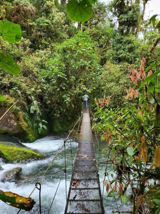 Unicorn Lodge: Direct Riverfront : Unique Experience San Gerardo de Dota Bagian luar foto