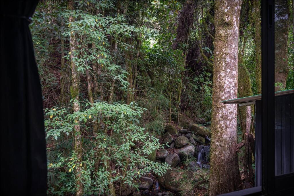 Unicorn Lodge: Direct Riverfront : Unique Experience San Gerardo de Dota Bagian luar foto