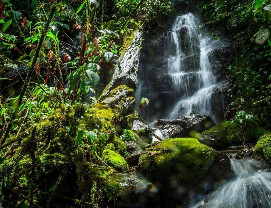 Unicorn Lodge: Direct Riverfront : Unique Experience San Gerardo de Dota Bagian luar foto
