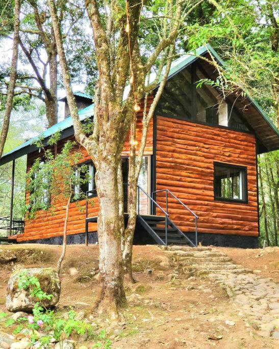 Unicorn Lodge: Direct Riverfront : Unique Experience San Gerardo de Dota Bagian luar foto