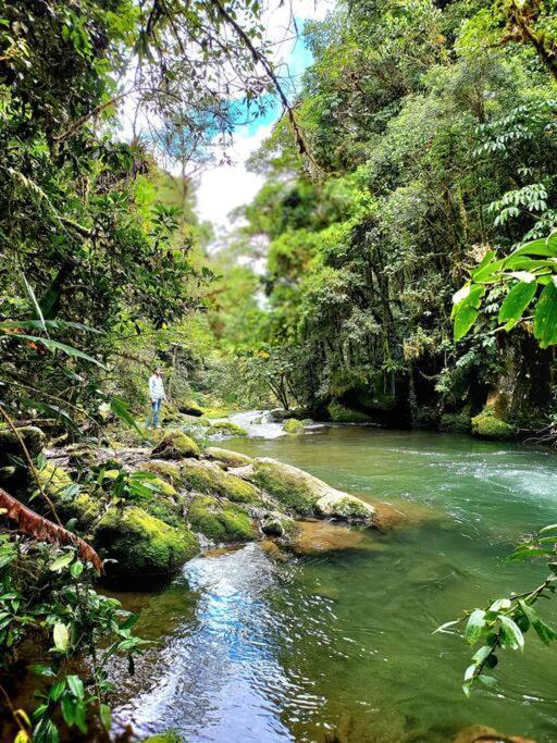 Unicorn Lodge: Direct Riverfront : Unique Experience San Gerardo de Dota Bagian luar foto