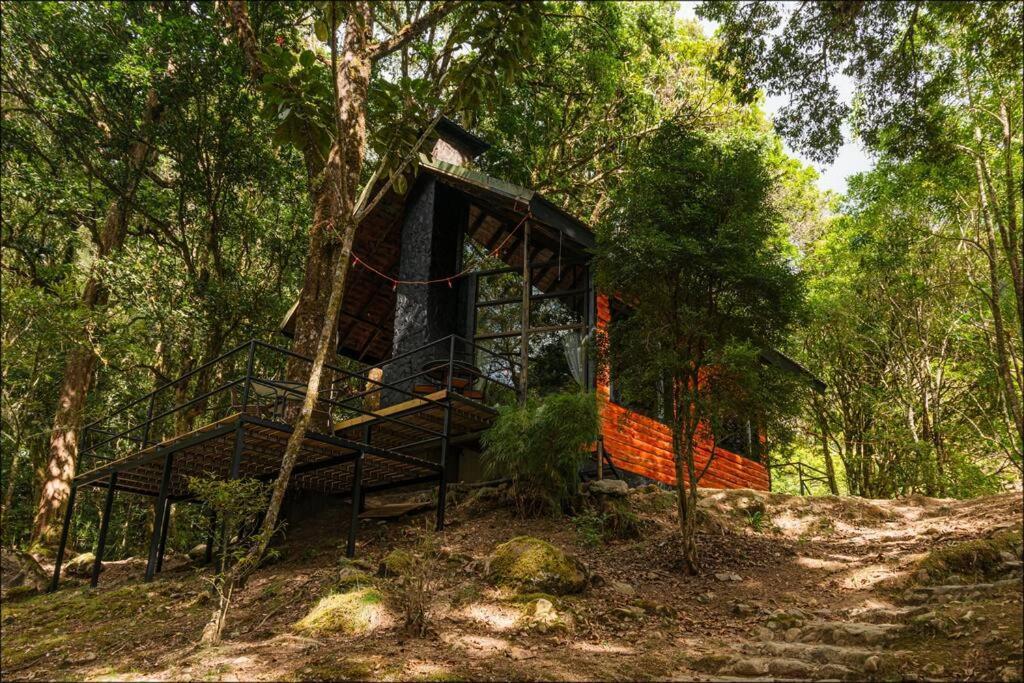 Unicorn Lodge: Direct Riverfront : Unique Experience San Gerardo de Dota Bagian luar foto