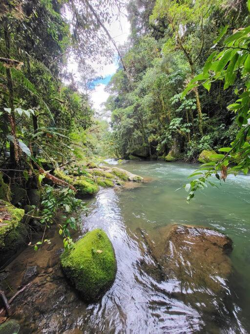 Unicorn Lodge: Direct Riverfront : Unique Experience San Gerardo de Dota Bagian luar foto