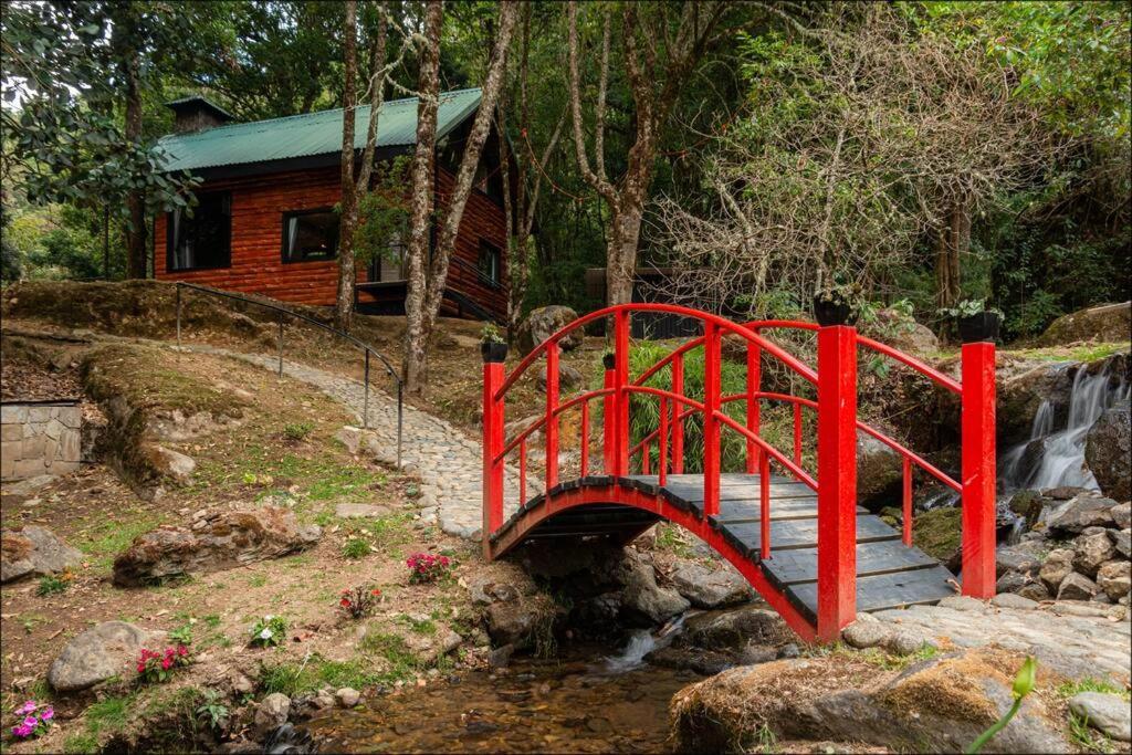 Unicorn Lodge: Direct Riverfront : Unique Experience San Gerardo de Dota Bagian luar foto